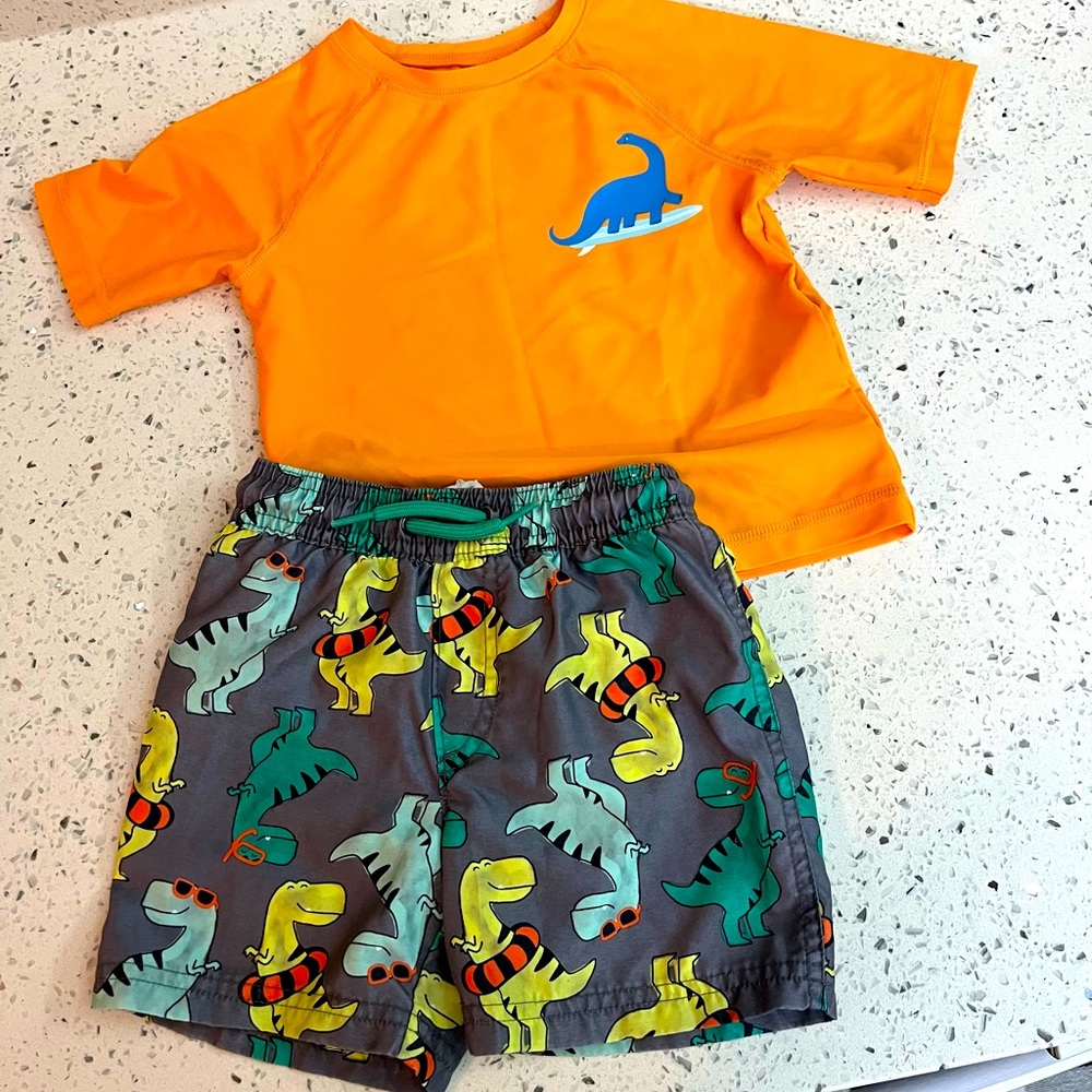 Boys Toddler Size 2T Dinosaur Swimsuit Bundle